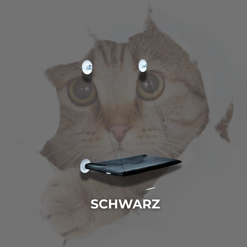 FensterNest - Warm, sicher & mit bester Aussicht + kostenloses E-book