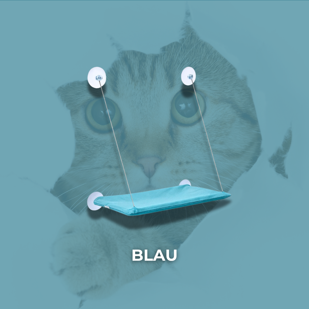 FensterNest - Warm, sicher & mit bester Aussicht + kostenloses E-book