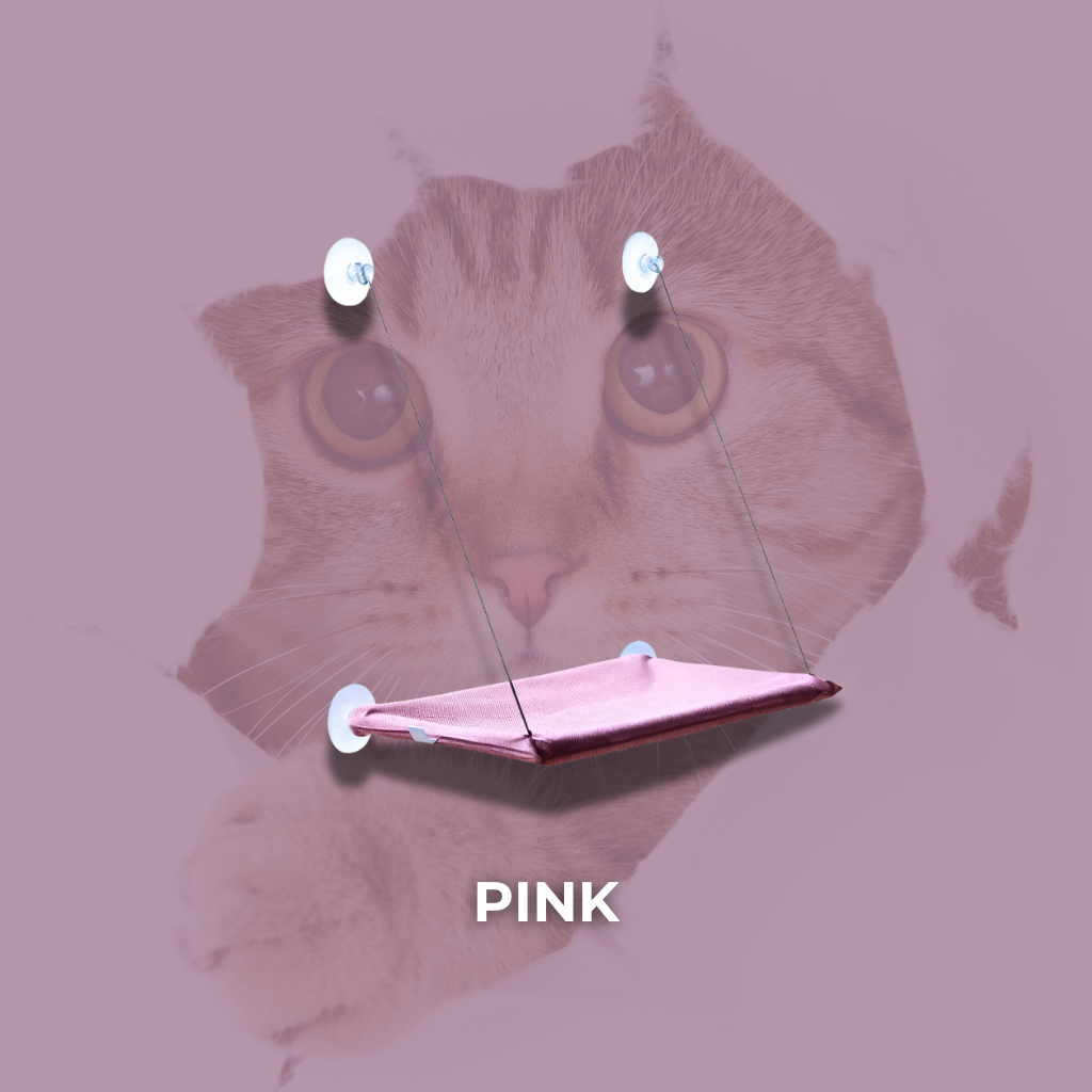 FensterNest - Warm, sicher & mit bester Aussicht + kostenloses E-book