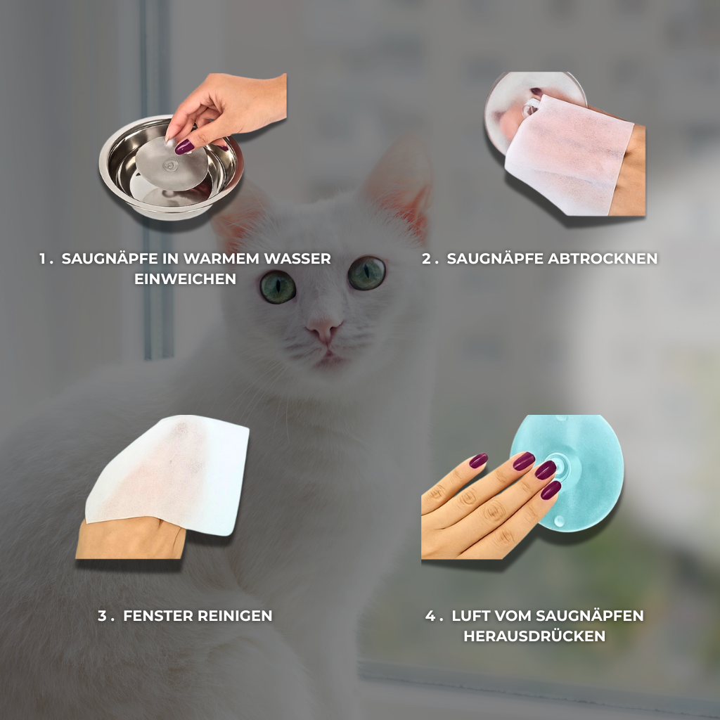 FensterNest - Warm, sicher & mit bester Aussicht + kostenloses E-book