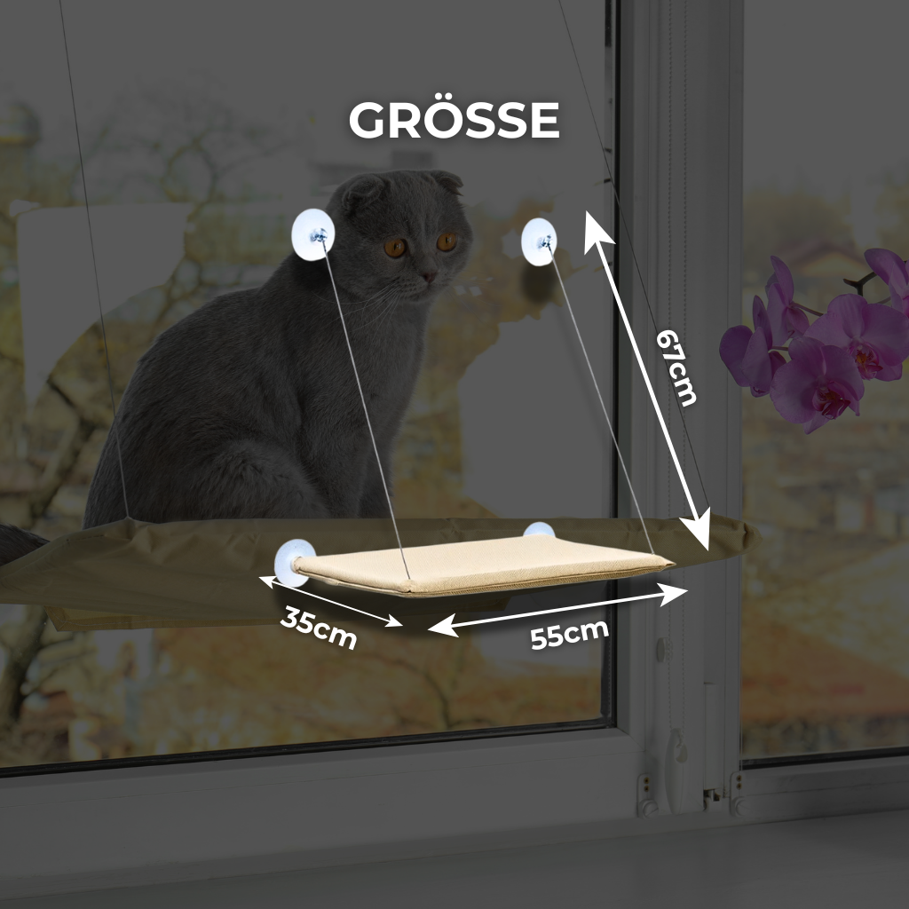 FensterNest - Warm, sicher & mit bester Aussicht + kostenloses E-book