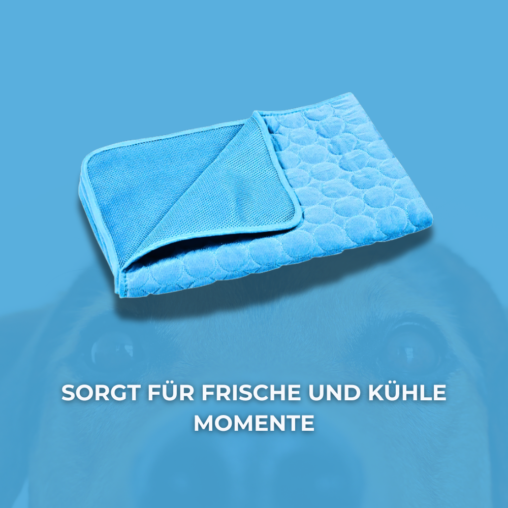 KuschelWuff - Die Decke, die dein Hund verdient.