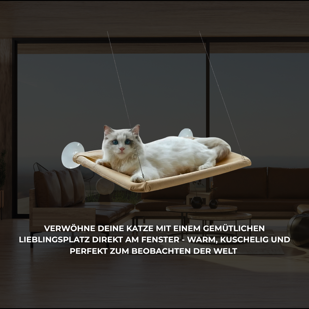 FensterNest - Warm, sicher & mit bester Aussicht.