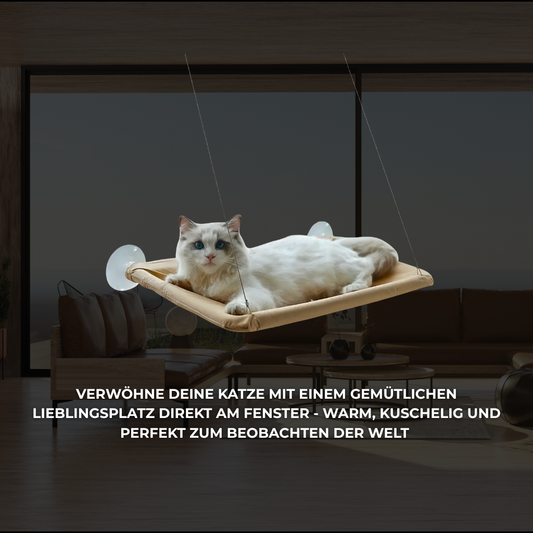 FensterNest - Warm, sicher & mit bester Aussicht.